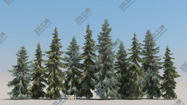images/goods_img/20210312/10plus10 Brewer Spruce 3D model/2.jpg